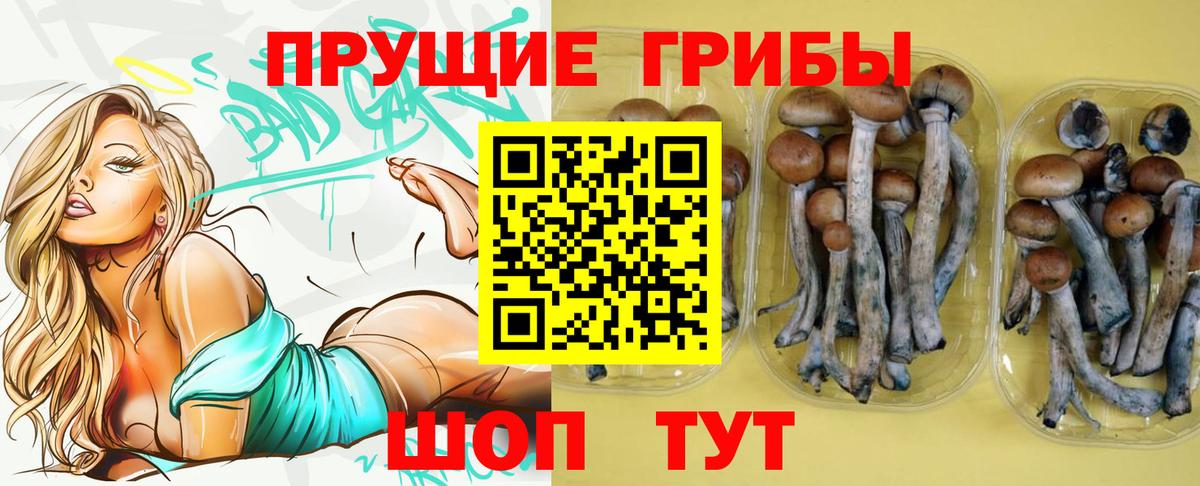Галлюциногенные грибы MAGIC MUSHROOMS  Вход с VPN  Славгород 